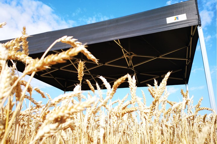 Sprzedam namiot reklamowy o wymiarach 2x2m